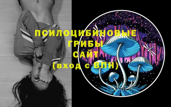 трава Кодинск