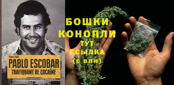 ешки Козловка