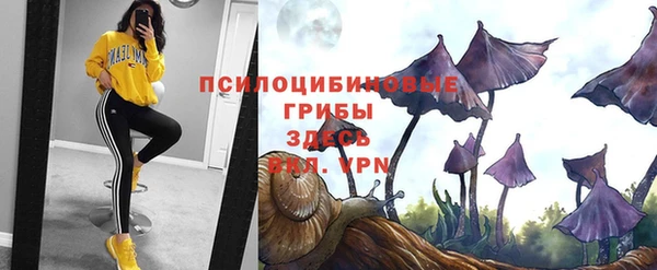трава Кодинск