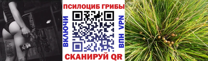 наркошоп  Усолье-Сибирское  Псилоцибиновые грибы MAGIC MUSHROOMS 